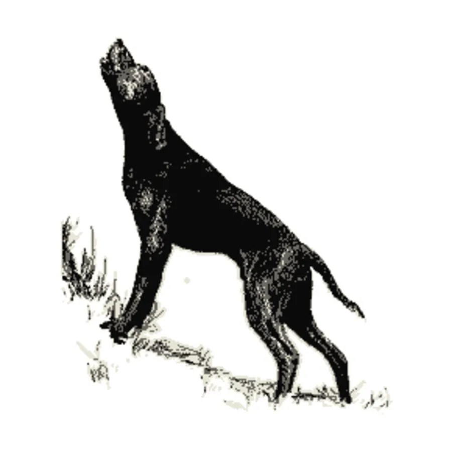 

Статья в Бестиарии — Собаки, Harn - Bestiary Articles