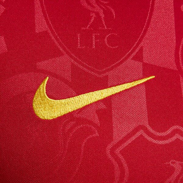 Футболка Liverpool fc Academy Pro DRI Fit Soccer Pre Match Футболка Nike, красный — фото 2