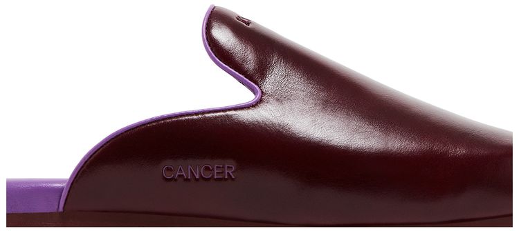 Кроссовки GOAT Horoscope Cancer Mule Wine/Lavender — фото 2