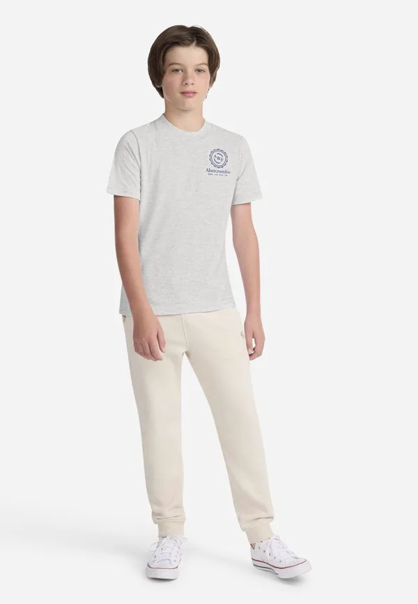 Футболка с принтом Abercrombie & Fitch, Light Grey Heather — фото 2