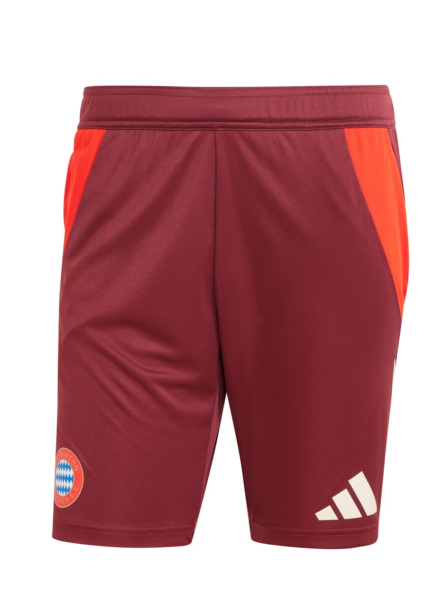 

Шорты FC BAYERN MÜNCHEN Regular Workout Pants UCL Teamline, бордо