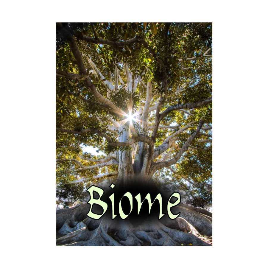

Biome, Role Playing Games (Black Armada), мягкая обложка