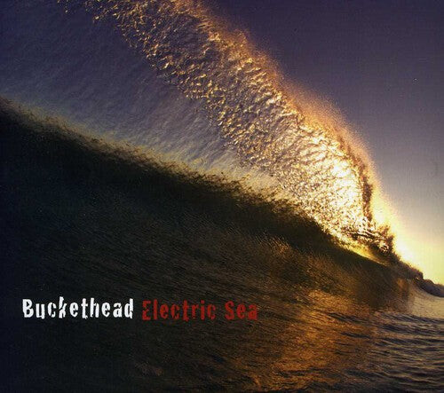 

CD диск Buckethead: Electric Sea