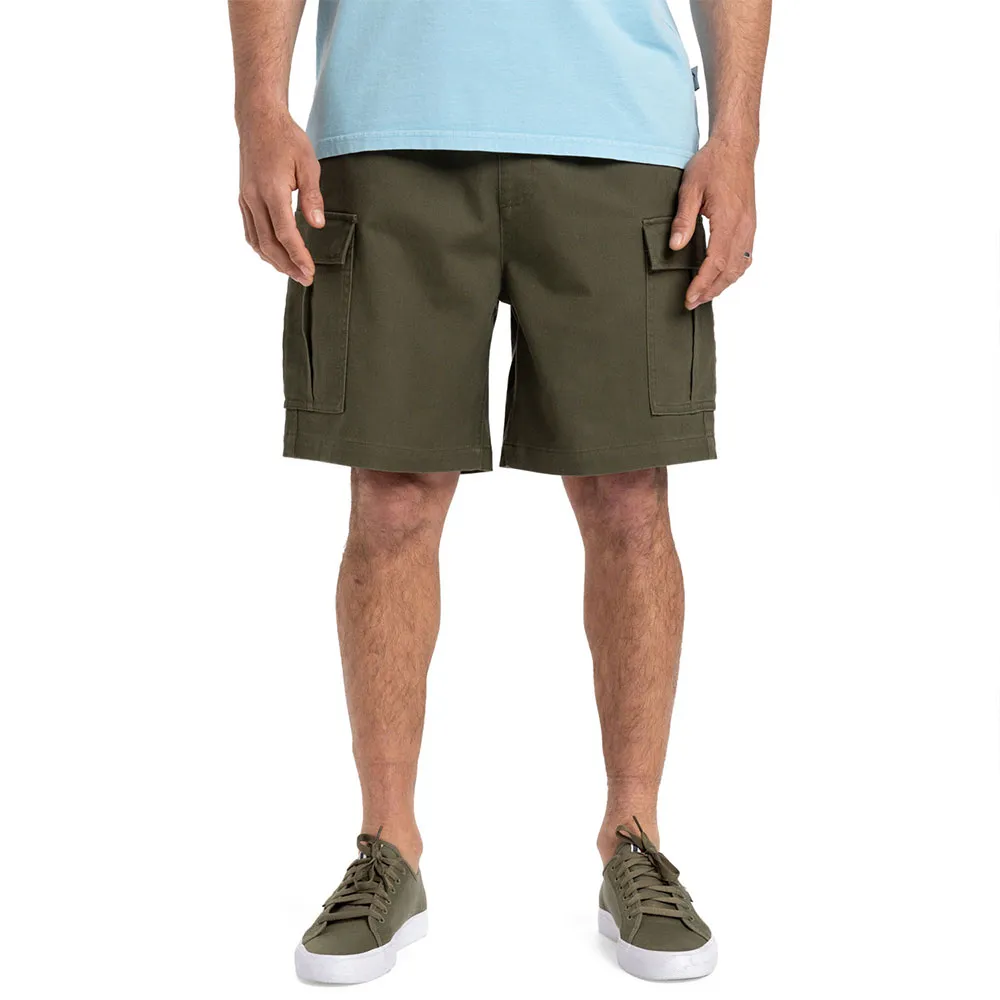 

Шорты Quiksilver Taxer Ws cargo, зеленый