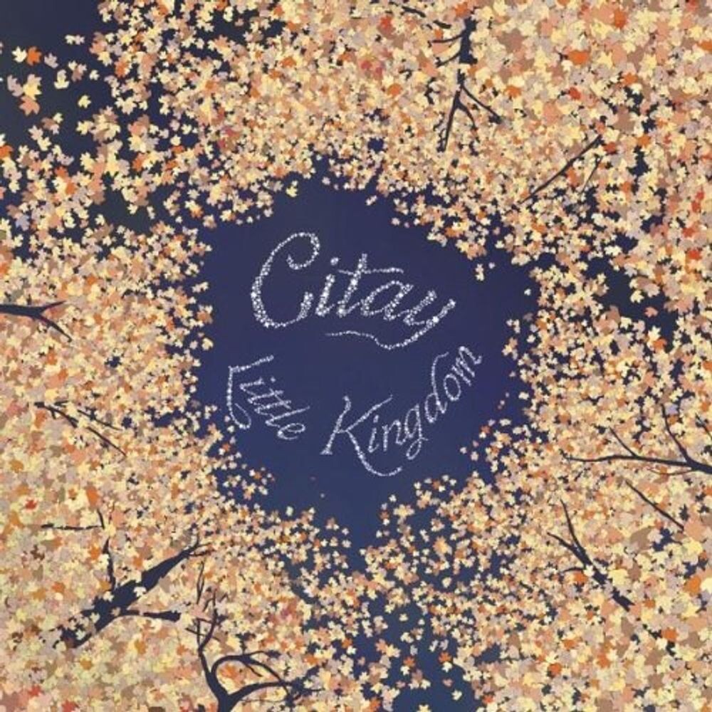 

Диск CD Little Kingdom - Citay