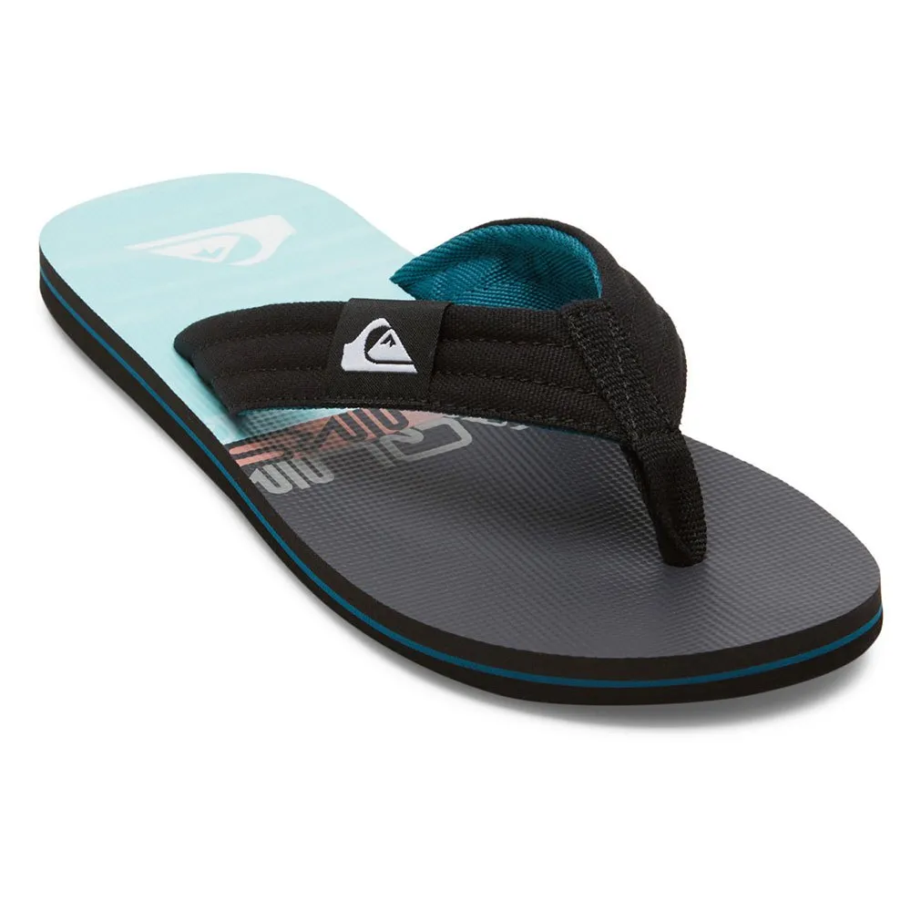 

Шлепанцы Quiksilver Molokai Layback, синий