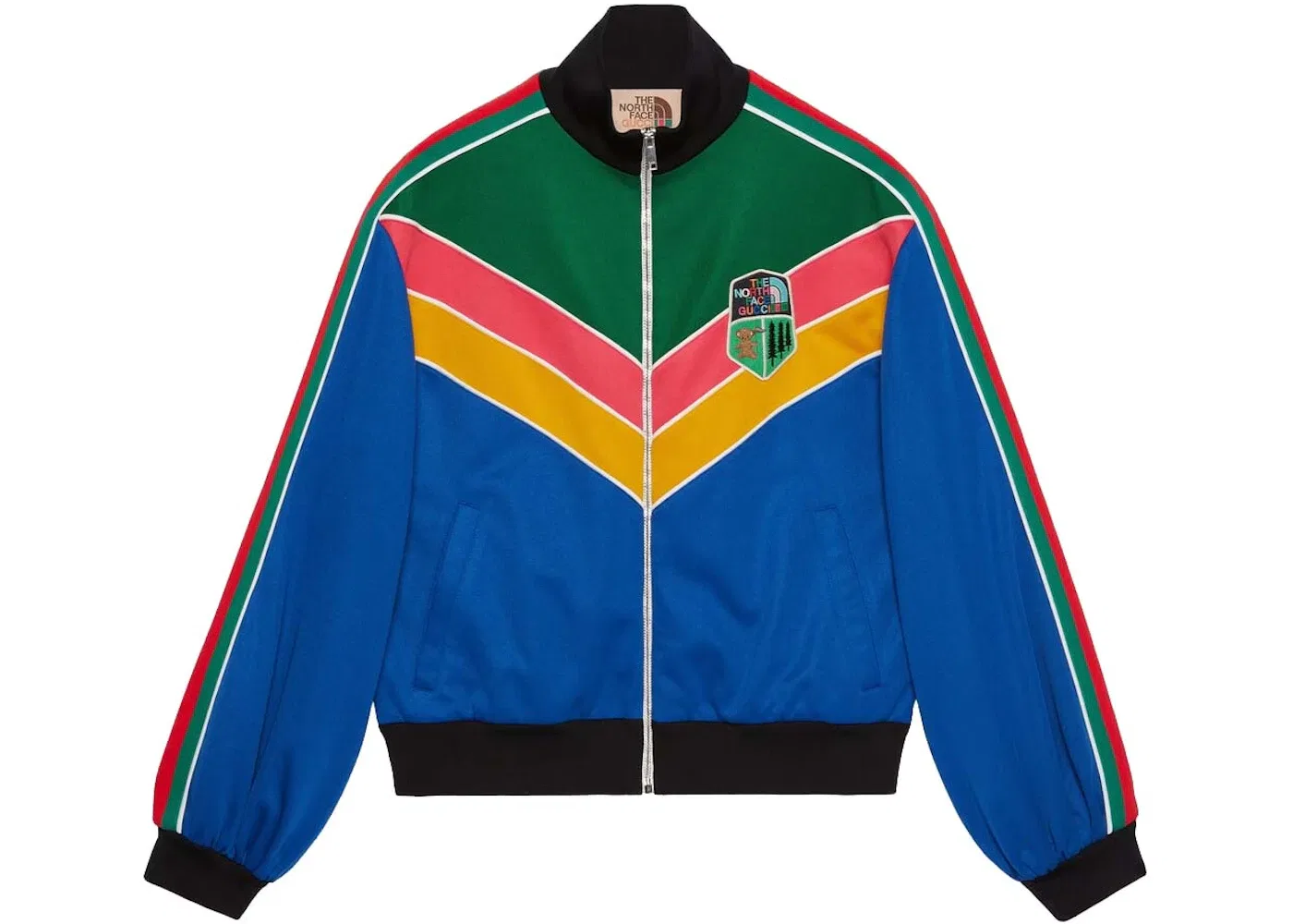 Женская куртка с принтом Gucci x The North Face Jacket, Blue/Multicolor