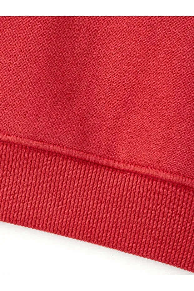Детское худи с принтом Galatasaray Puma Kids Hooded Sweatshirt Gsstore, Red — фото 3