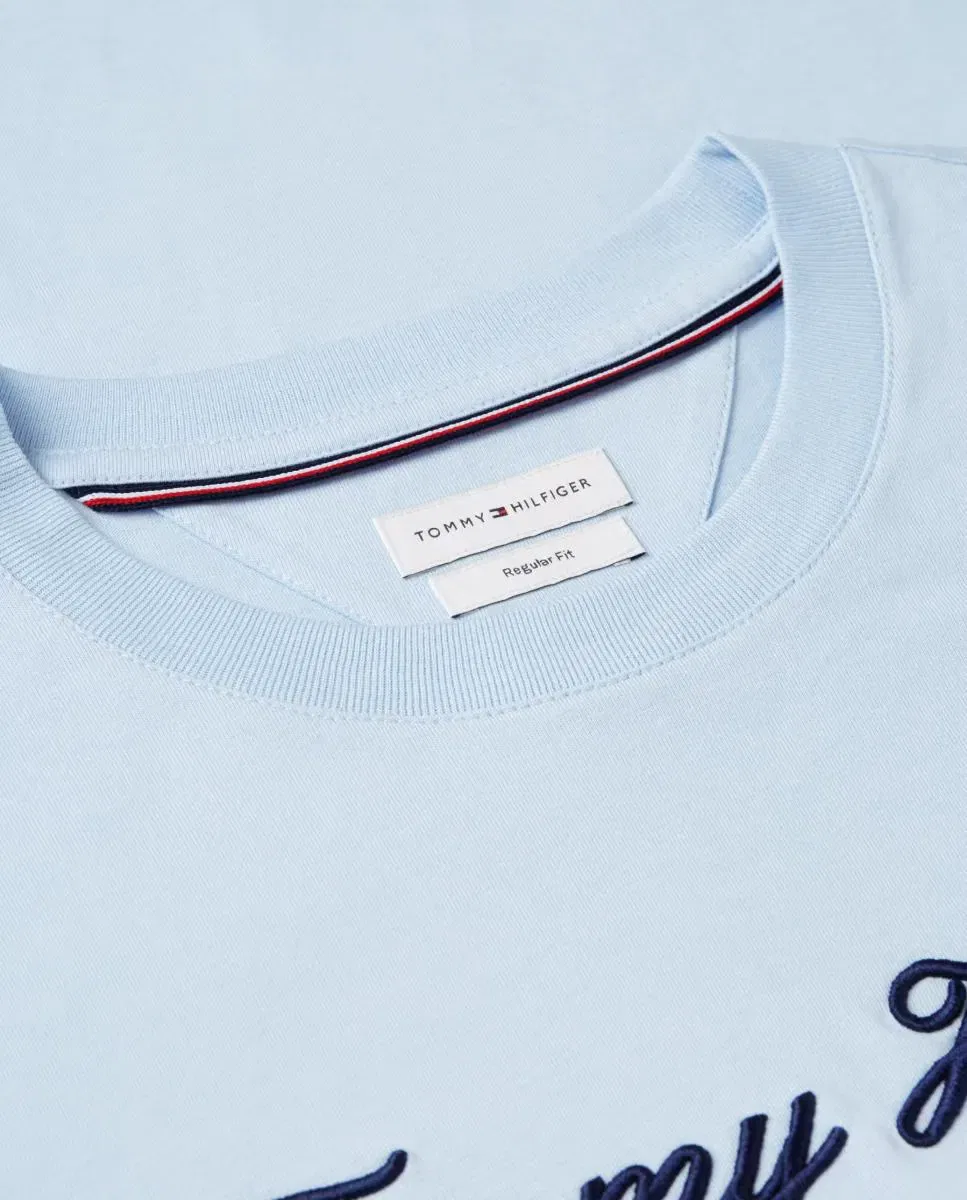 Мужская футболка хлопковая Tommy Hilfiger, Azul Celeste — фото 3