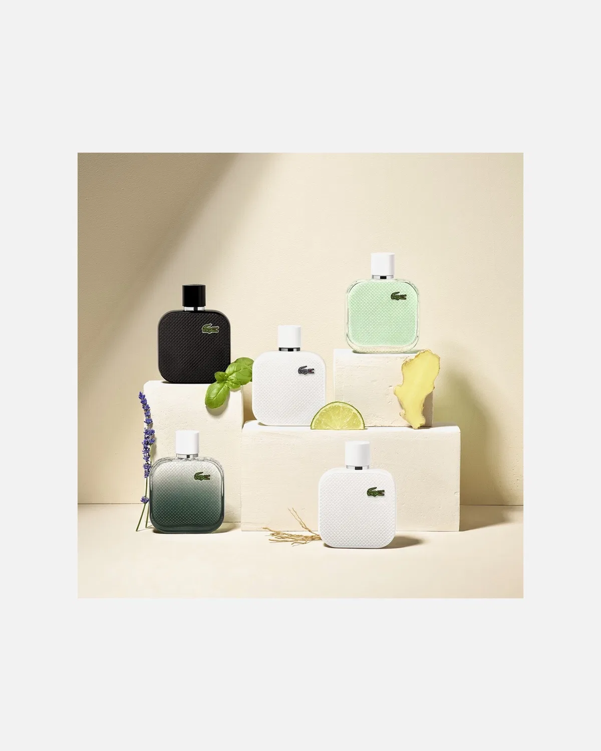 Туалетная вода l12.12 blanc eau интенсивная Lacoste, 50 Ml — фото 3