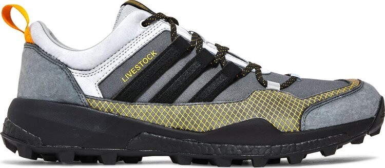 

Кроссовки Adidas Livestock x Terrex Skychaser 'Stone', серый