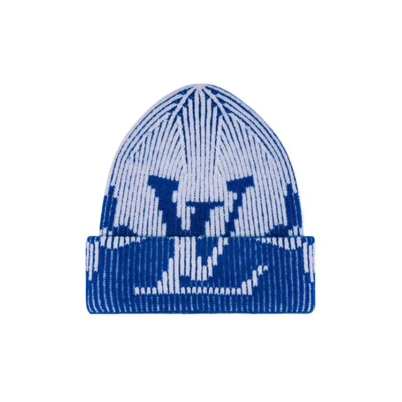 

Шапка мужская Louis Vuitton, бело-синий