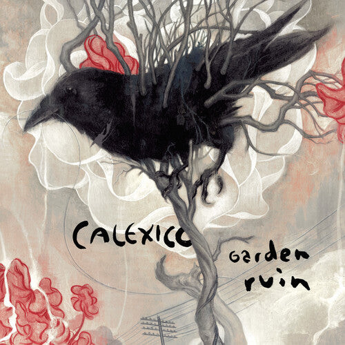 

CD диск Calexico: Garden Ruin