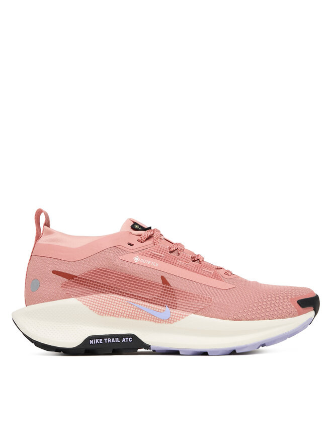 Беговые кроссовки W Pegasus Trail 5 Gtx GORE-TEX FQ0912 602 Nike, розовый