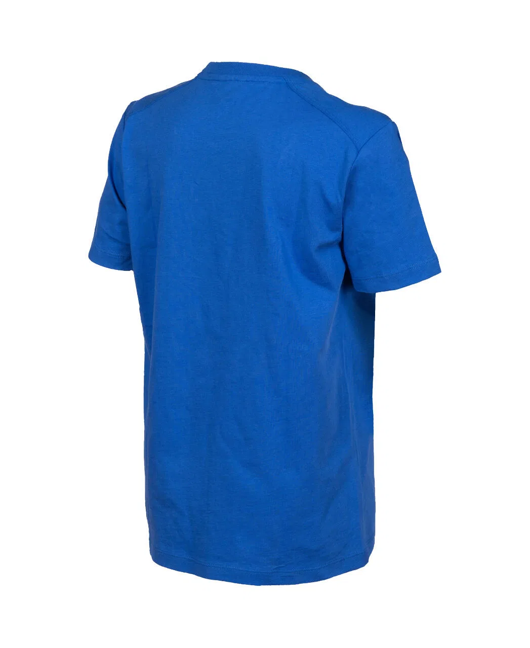 Детская хлопковая футболка Arena Team T-Shirt Panel junior, Konigsblau Elektroblau — фото 4