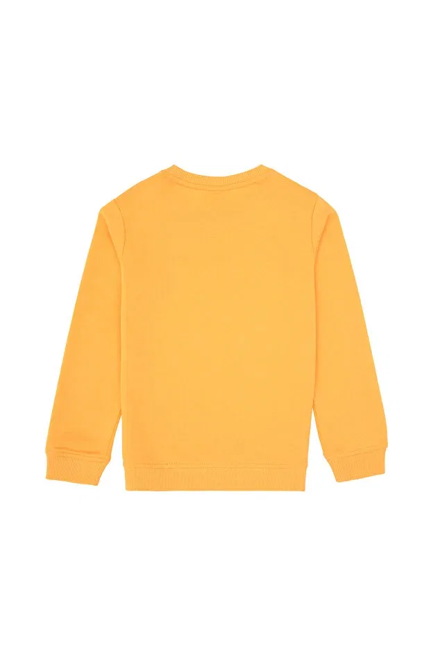 Детские свитшот для мальчиков хлопковый U.S. Polo Assn., Multicolor — фото 4
