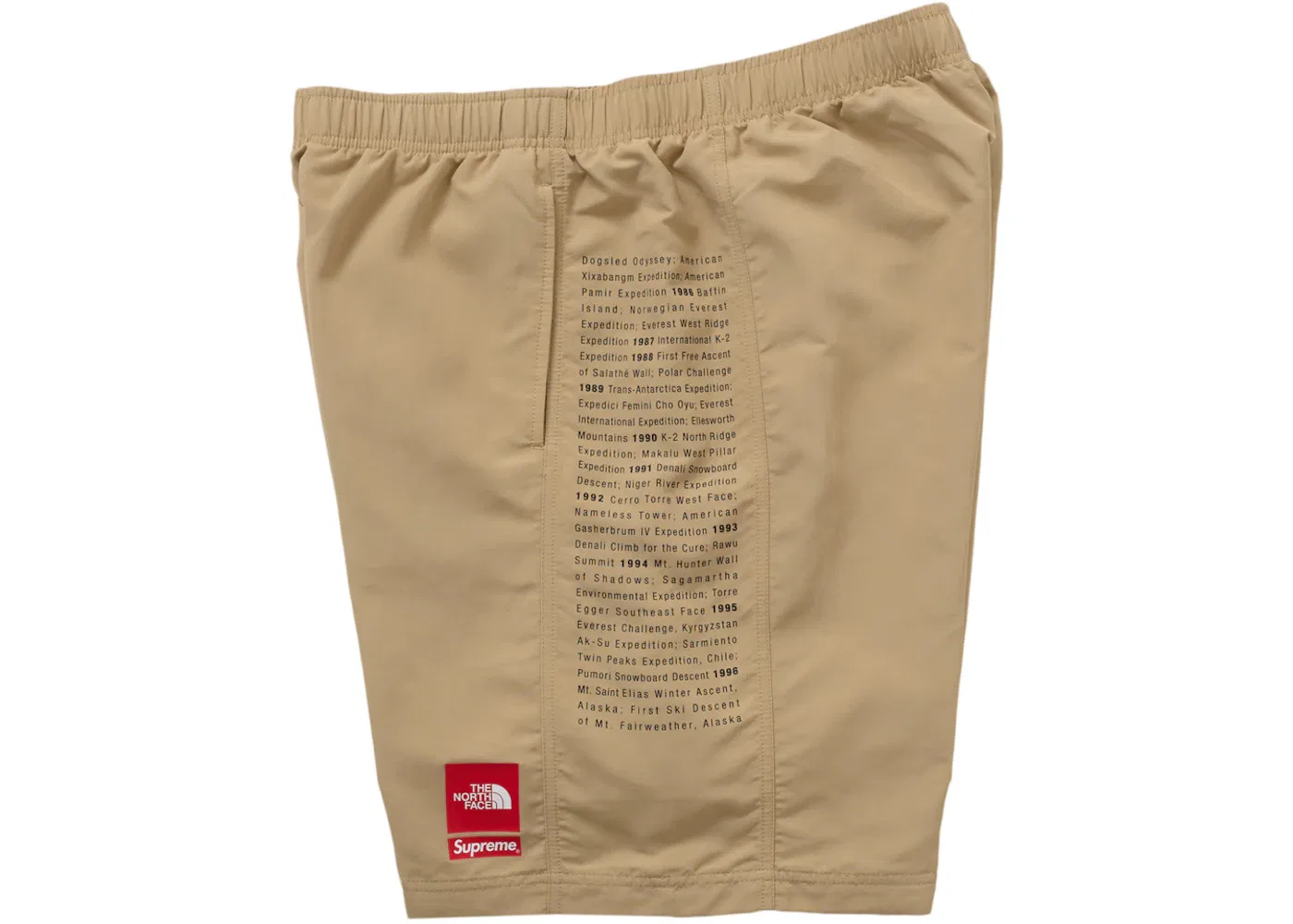 Мужские шорты с принтом Supreme The North Face Short, Khaki — фото 2