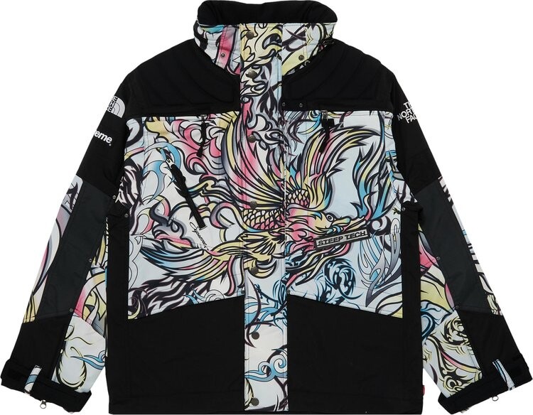 Куртка Supreme x The North Face Steep Tech Apogee Jacket 'Multicolor Dragon', разноцветный — фото 2