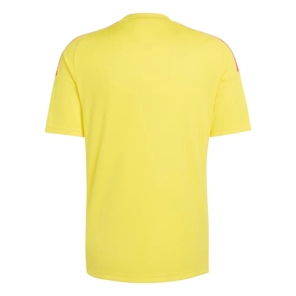 Мужская футболка с коротким рукавом Adidas Colombia 26 Home Fan Jersey, желтый — фото 2