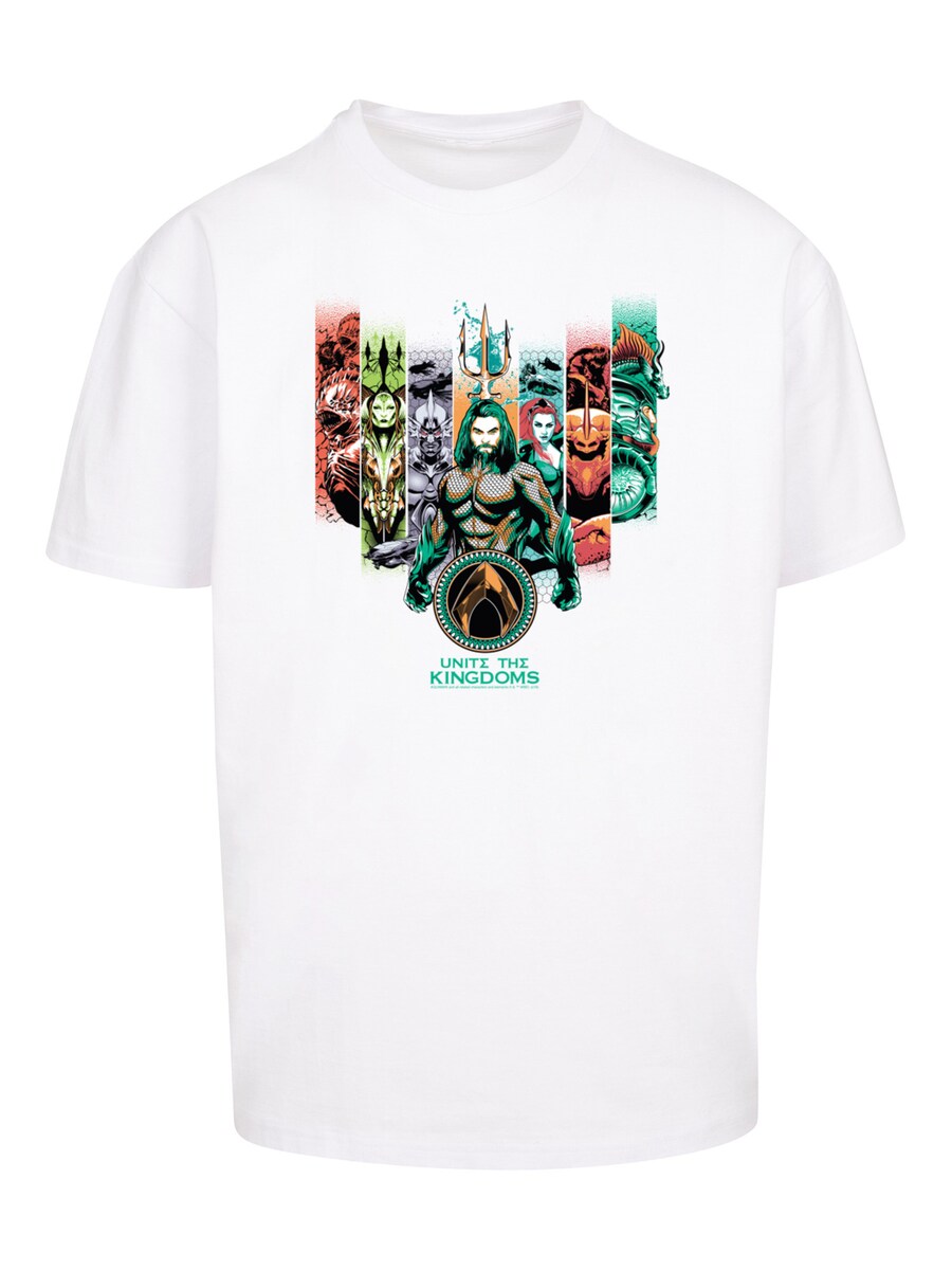 

Рубашка F4NT4STIC DC Comics Aquaman Unite The Kingdoms, белый