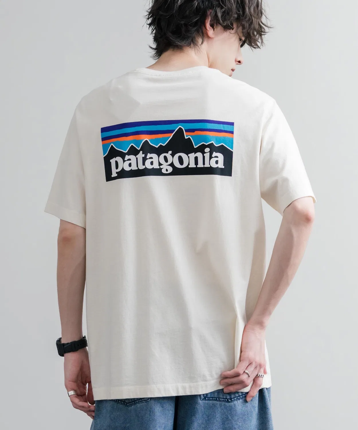 Мужская футболка с длинным рукавомс принтом P-6 Logo patagonia, Natural