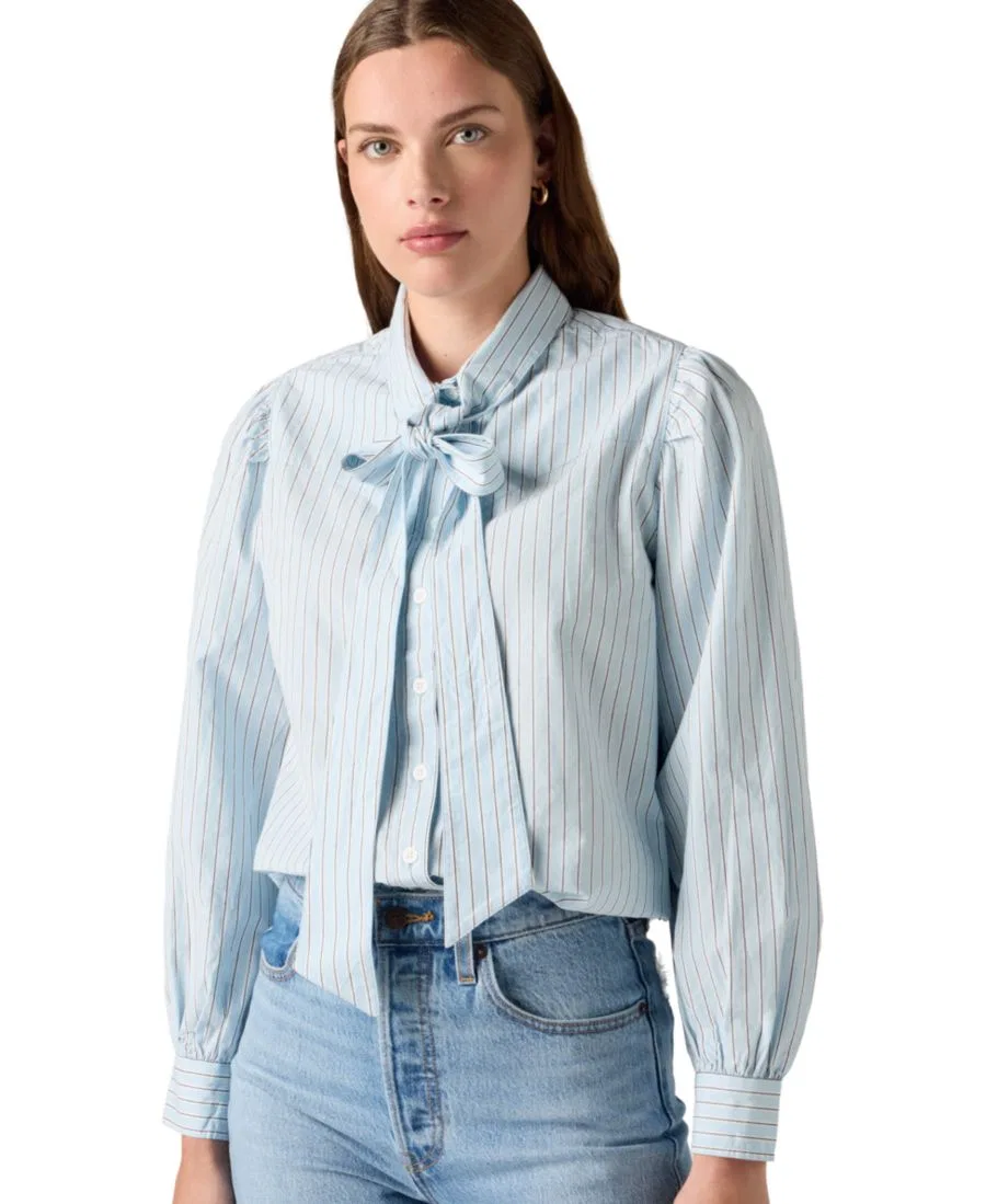Женская рубашка Western Relaxed Fit с длинным рукавом из хлопкового поплина Levi's, Sherman Stripe Angel Falls
