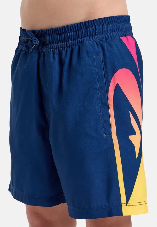 Плавки с принтом Everyday Holmes Volley Quiksilver, Bsw — фото 3