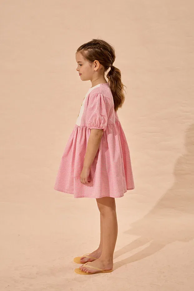 Детское платье для девочек с коротким рукавом Rabbit Embroidered Gingham Dress Fahhar Kids, Pink — фото 2