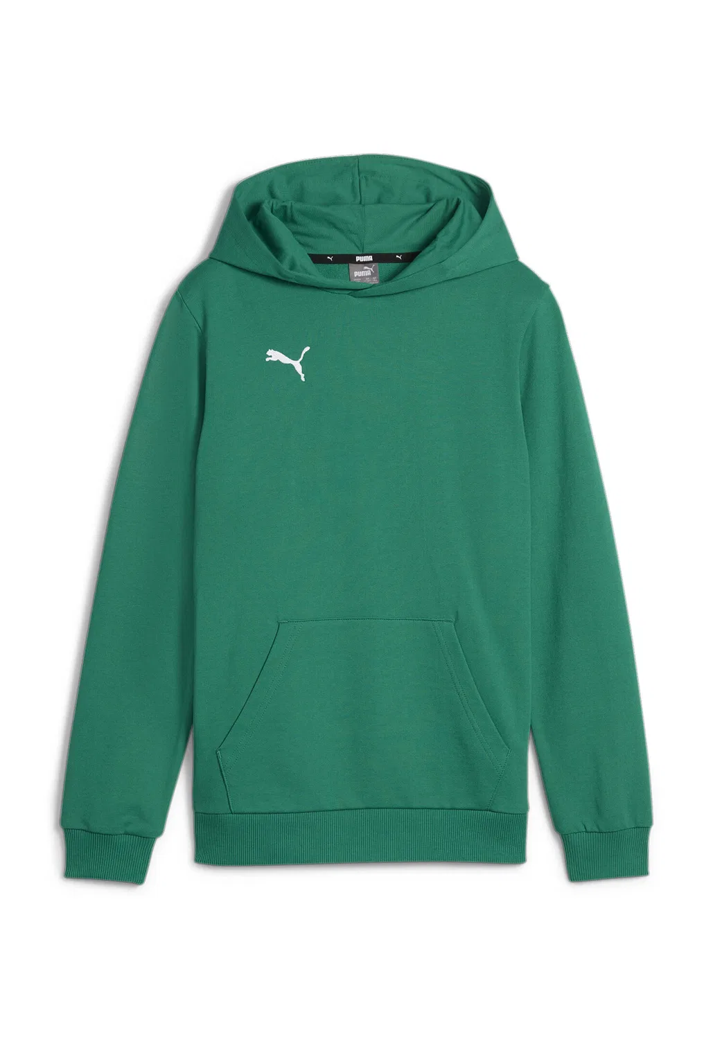 Детское худи из футера с капюшоном teamGOAL Casuals Hoody Puma, Grun