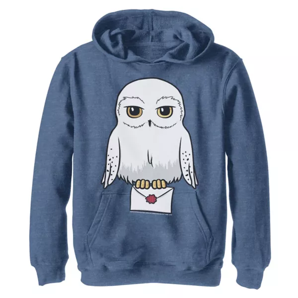 

Толстовка с капюшоном Hedwig для мальчиков 8-20 лет с милым мультяшным портретом Harry Potter, синий