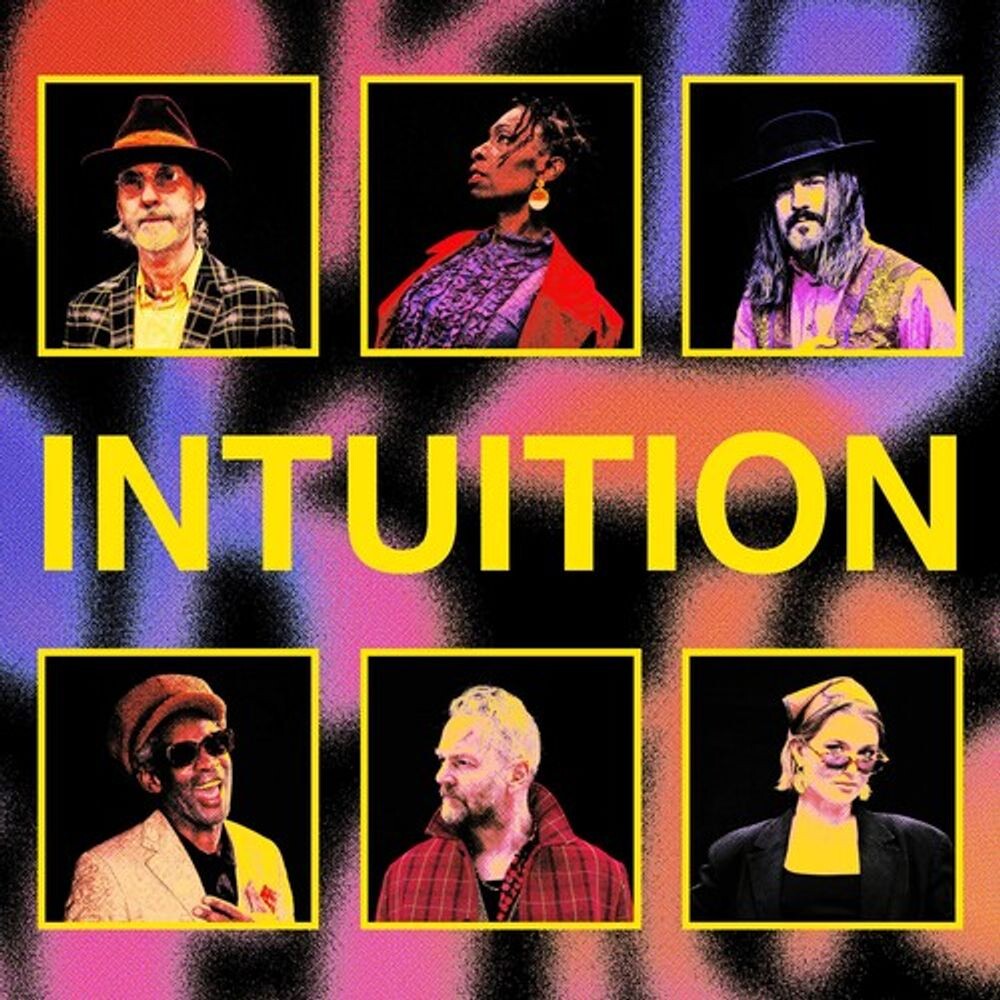 

Виниловая пластинка LP Intuition - Brooklyn Funk Essentials