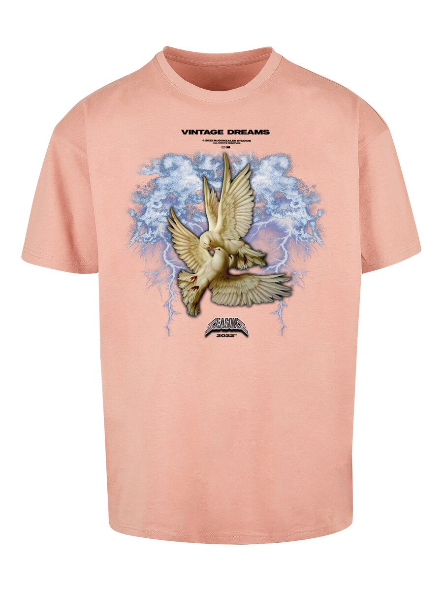 

Классическая футболка MJ Gonzales Shirt Vintage Dreams, цвет powder