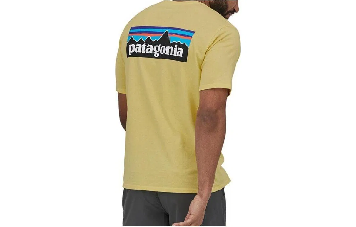 Мужская футболка с принтом Patagonia Responsibili Tee, Light Yellow/ISLY