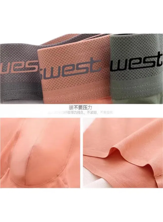 Трусы-боксеры хлопковые комплект из 4 штук Jeanswest, серый — фото 2