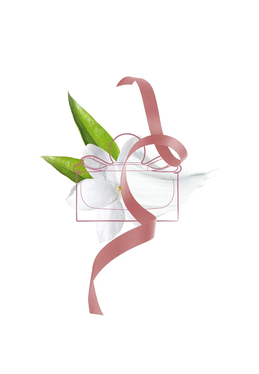 Подарочный набор Signorina (парфюмерная вода + лосьон для тела) - набор ароматов Ferragamo Fragrances, One Size — фото 3