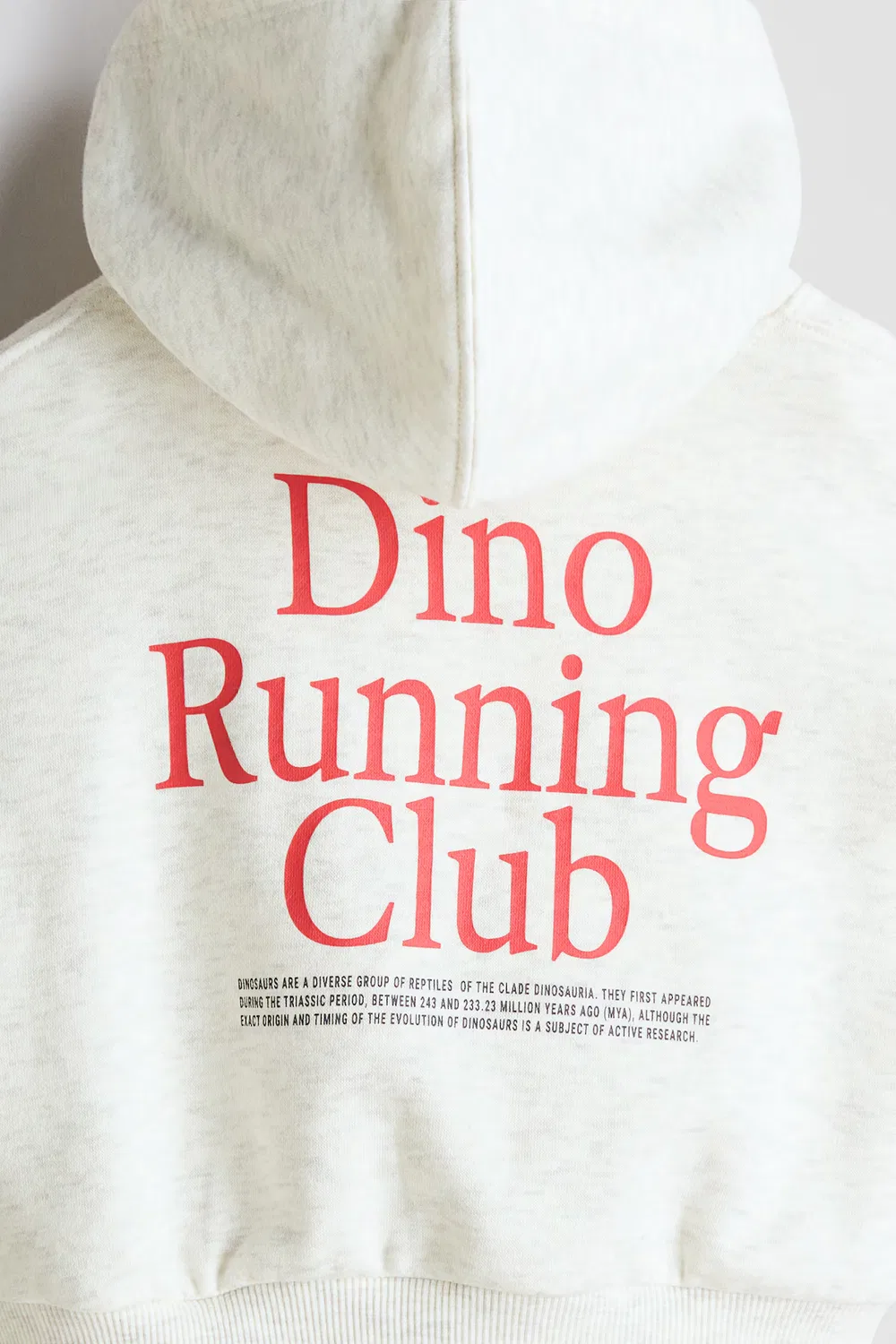 Худи с принтом H&M, Hellgrau/Dino Running — фото 2