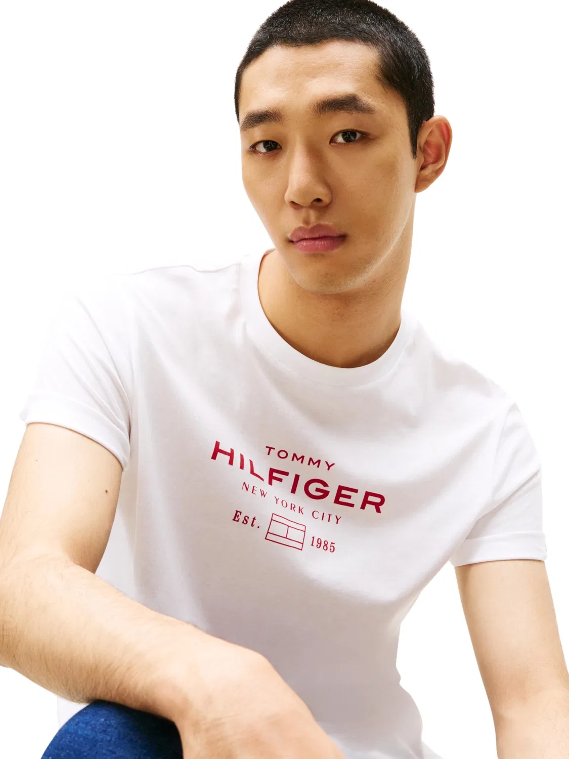 Мужская футболка с принтом Hilfiger Stack Tommy Hilfiger, White (White) — фото 3