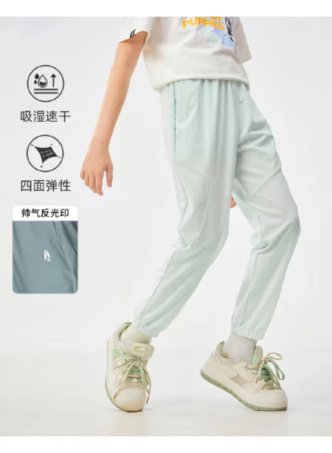 Штаны спортивные влагоотводящие быстросохнущие Hush Puppies