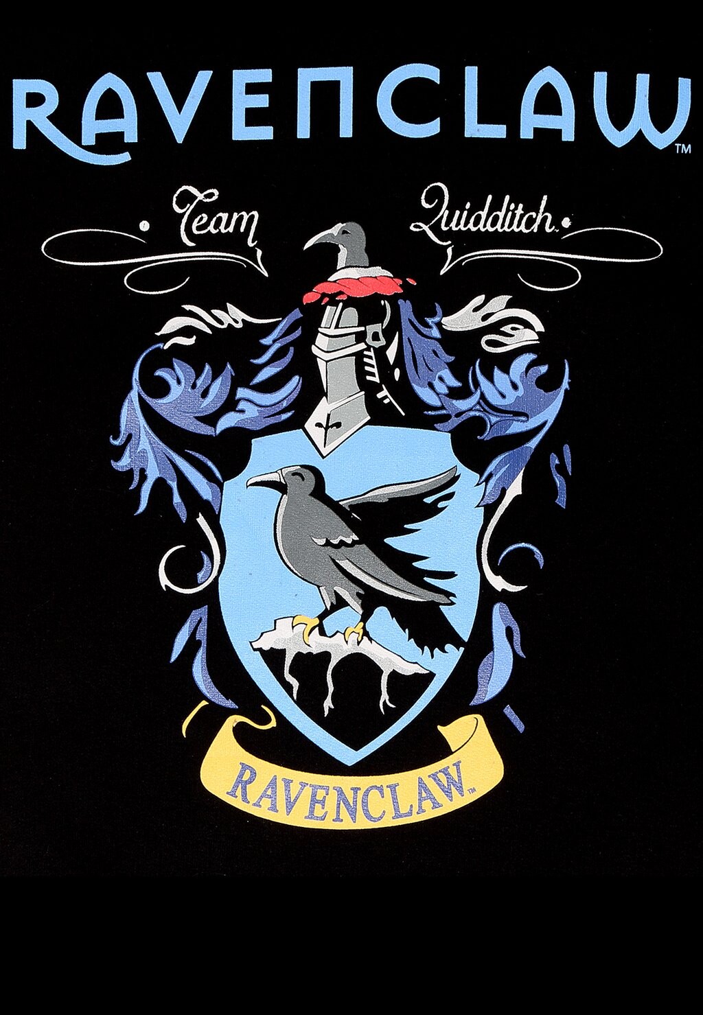 

Толстовка с капюшоном HARRY POTTER PROPERTY OF RAVENCLAW Henry Tiger, черный
