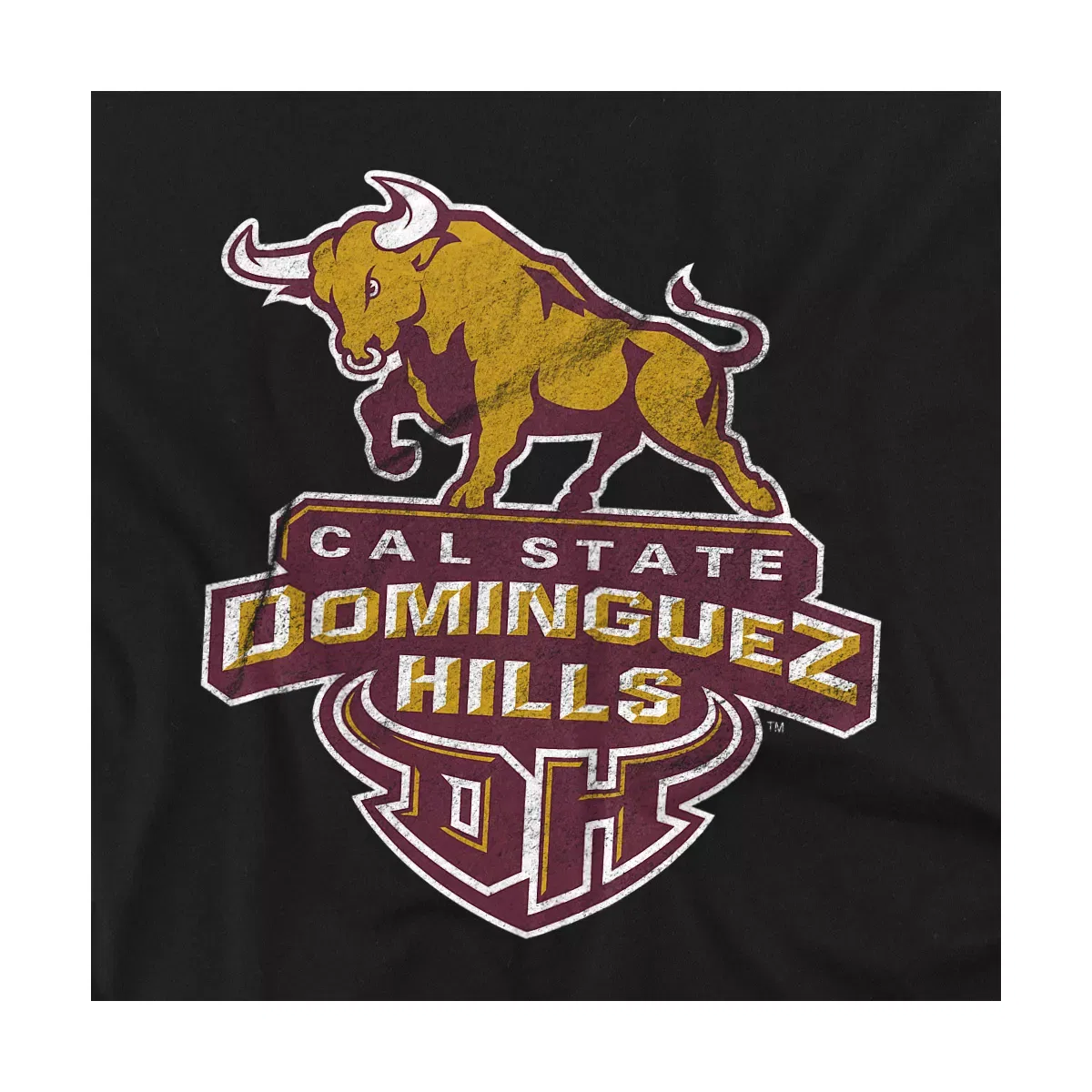 Детская футболка с принтом Cal State Dominguez Hills Distressed Primary Kids T-Shirt For Youth Black NCAA, Black — фото 2