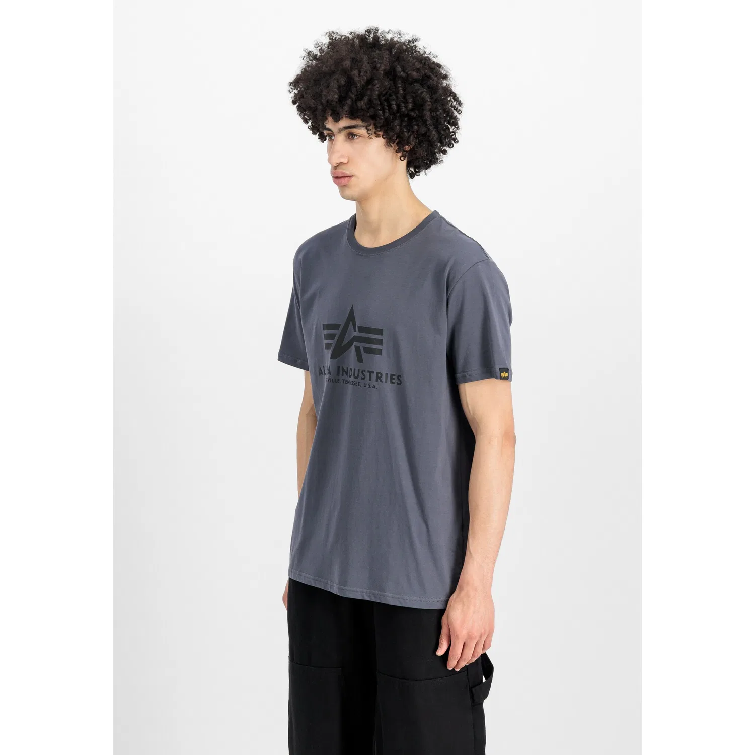Детская хлопковая футболка с принтом Alpha Industries, Grey Black/Black
