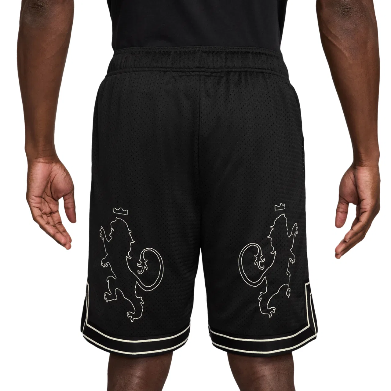 Мужские шорты 8 дюймов LeBron Nike, цвет Black/Sail — фото 2