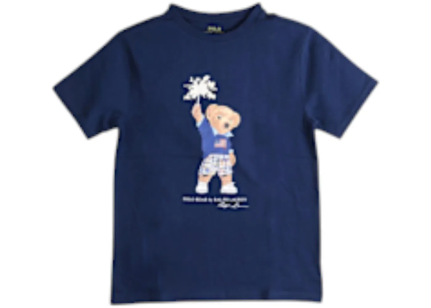Мужская футболка с принтом Polo Ralph Lauren, Spring Navy