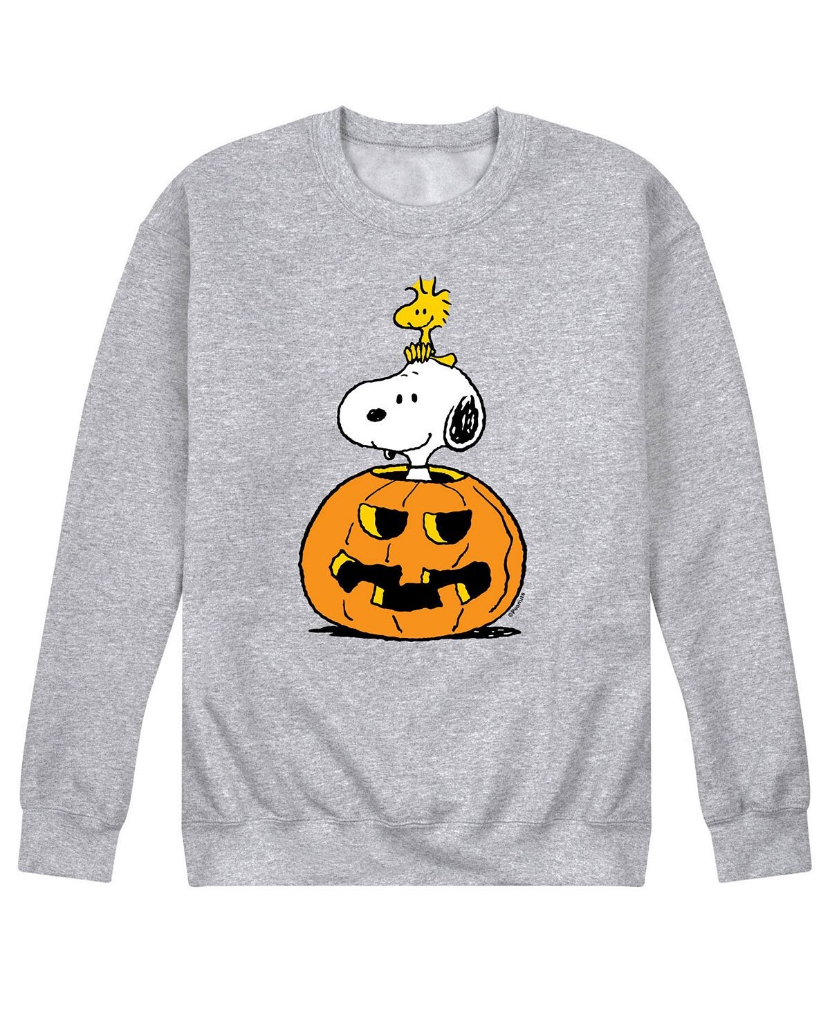 

Мужская флисовая футболка peanuts snoopy pumpkin AIRWAVES, серый