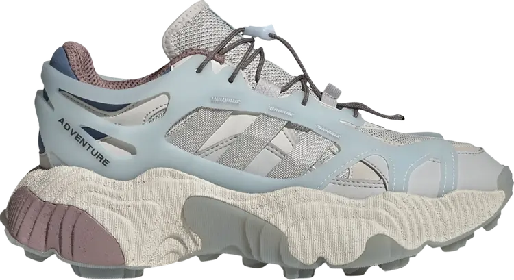

Кроссовки Adidas Roverend Adventure 'Aluminium Light Blue', серый