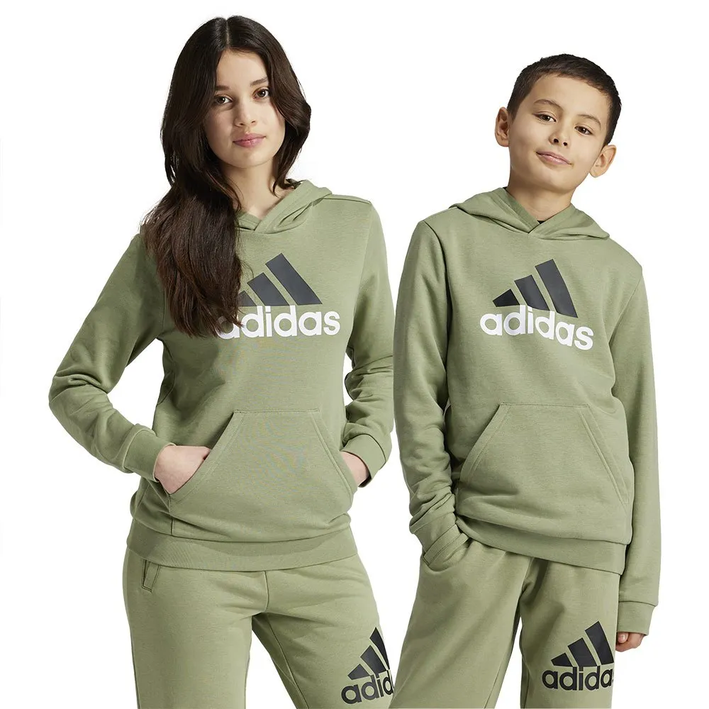 

Худи adidas Essentials Two Colored Big Logo Cotton, зеленый