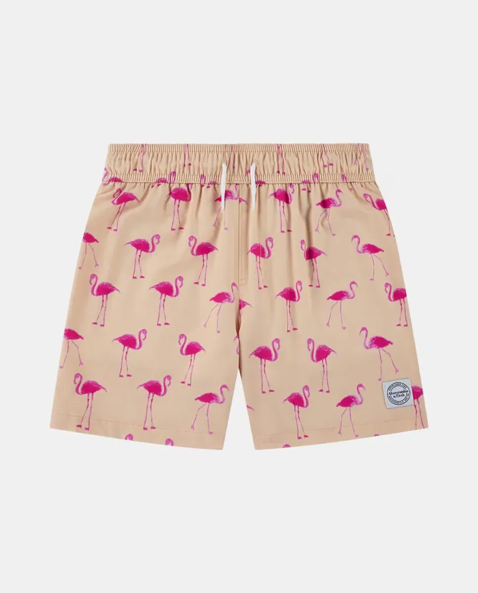Детские плавки для мальчиков Core Poly Abercrombie Kids, Rosa