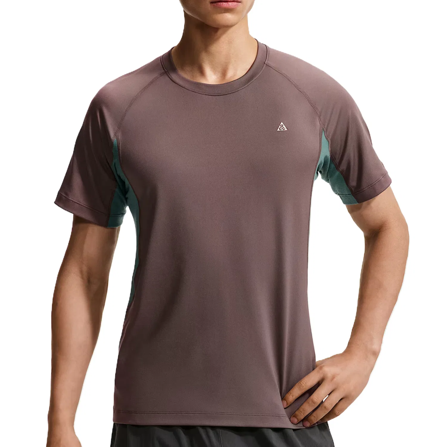 Мужская футболка быстросохнущая с принтом Totem Black Purple/Mineral Slate Blue/Mountain Peak White Nike