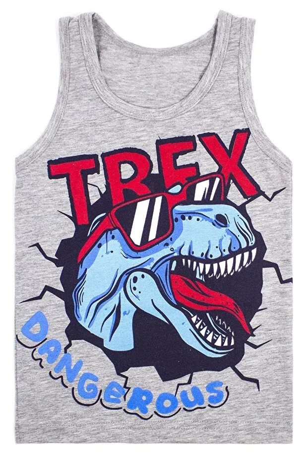 Детское для мальчиков нижнее белье с принтом Dinosaur Printed Biyokids, Multicolor — фото 2
