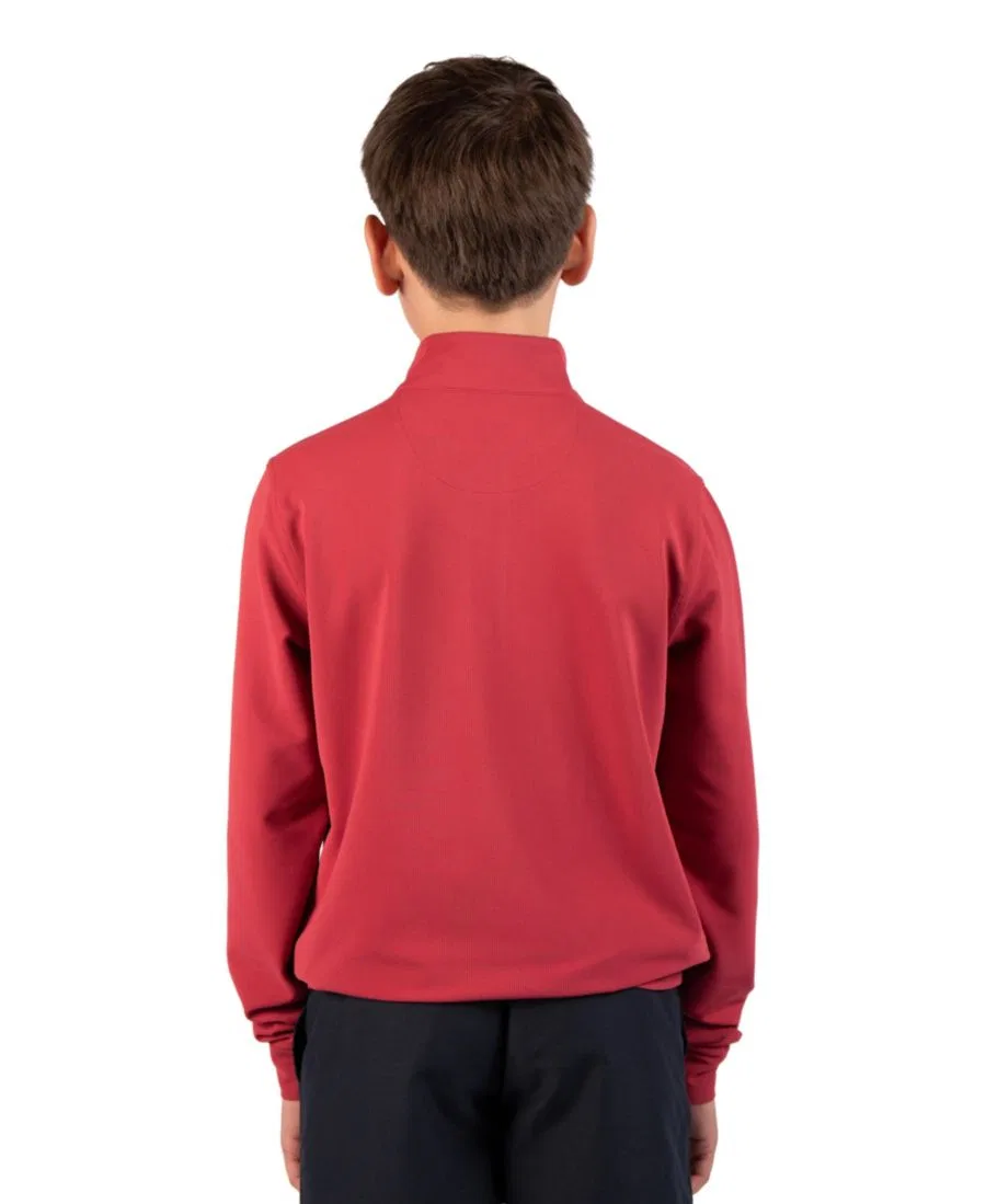 Свитшот с четверть-молнией Micro Grid Textured Performance Tailorbyrd, Sunwashed Red — фото 2